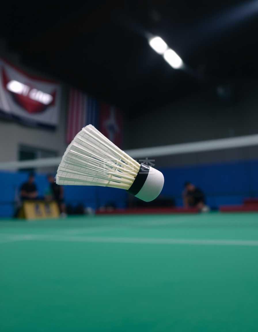 比赛中取得 比赛中取得