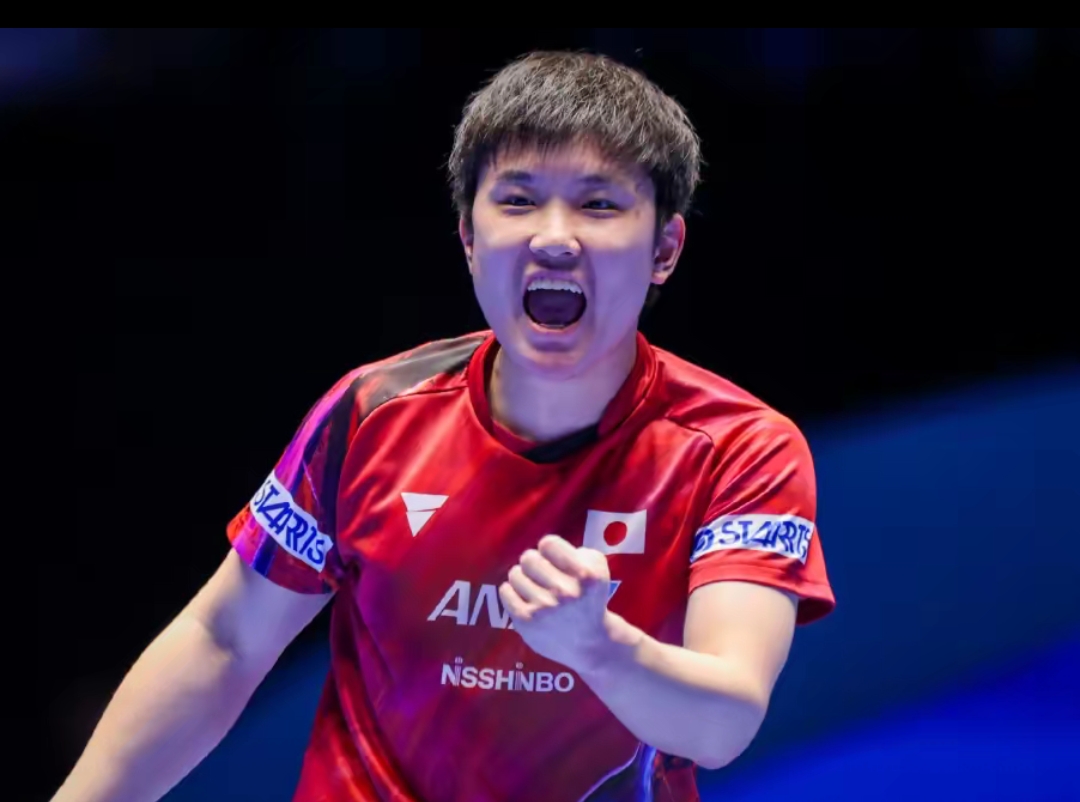 星锐一年级 星锐一年级